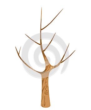 Big wooden vector and illustration with isolation and white background