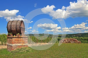 Wine barrel and vineyards in Piedmont, Italy. photo