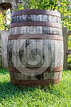 Big wooden wine cask with rusted barrel hoops on the green grass