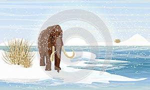 Big woolly mammoth on the bank of a freezing river. Prehistory animals. Ice Age