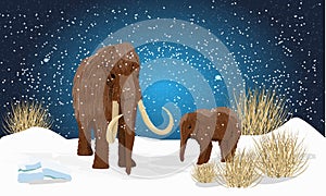 Big woolly mammoth and cub on plain in the snow. Night with the stars