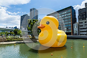 Big Yellow Duck in Osaka