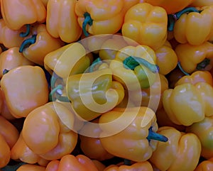 Big yellow fresh pepper, close-up, background
