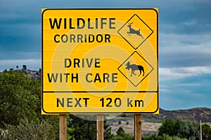 Big yellow wildlife warning road Sign