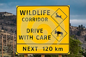 Big yellow wildlife warning road Sign