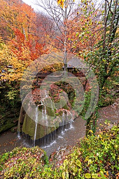 Bigar Waterfall in the Romanian mountains - amazing view of one of the most beautiful waterfalls in Europe during an autumn day wi