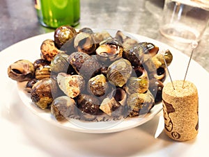 Bigaros, cooked sea snails typical in Asturias, Spain, Europe