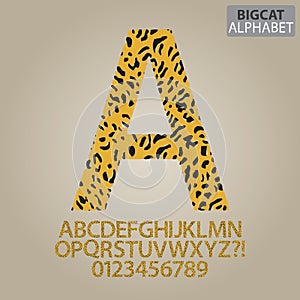 Bigcat Skin Alphabet and Numbers Vector