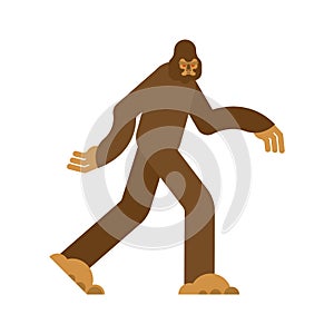 Bigfoot isolated. Yeti brown. Abominable snowman. sasquatch vector