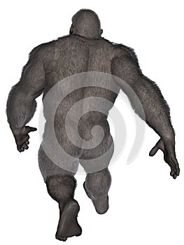 Bigfoot Sasquatch Gorilla Walking Away Isolated