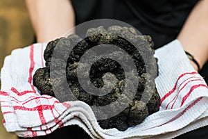 Biggest black truffle dordogne perigord France photo