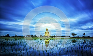 A biggest Buddha in Thailand