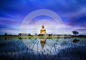 A biggest Buddha in Thailand