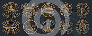 The biggest bundle of vintage illustrations for seafood theme.