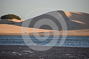 The biggest sand dunes from South Africa near the Sundays River in Colchester near Addo Elephant Park