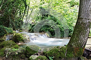 Biggest waterfall in Serbia, called `Veliki Buk`, near Despotovac city, Eastern Serbia photo