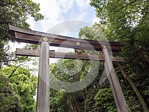 Biggest Wooden Torii at Meiji Jingu Shrine, Tokyo, Japan