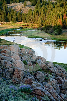 Bighole River at Sunset, Montana