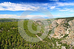 Bighorn National Forest