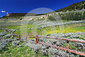 Bighorn National Forest Scenery