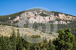 Bighorn National Forrest in Wyoming with Limber Pine (Pinus flexilis) growing in the rocky cliffs