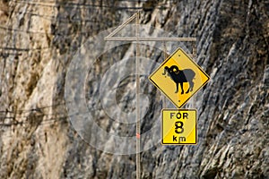 Bighorn Sheep Crossing road sign