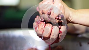 Bignay home wine processing hand crushing, mashing and squeezing of fruit