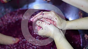 Bignay home wine processing many hands crushing, mashing and squeezing of fruit