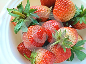 Bigsize strawberry