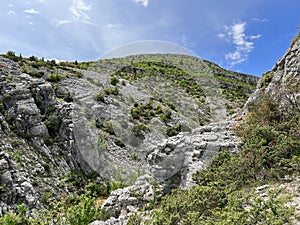 Bijela voda stream canyon or Bijela river karst canyon, Karin Gornji - Croatia