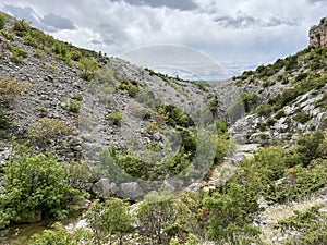 Bijela voda stream canyon or Bijela river karst canyon, Karin Gornji - Croatia