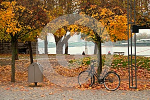 Bike in the autumn park, Cologne/ Koeln