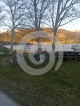 Bike, bicicleta, paseo, noway, mountain