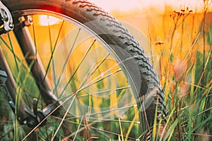 Bike Bicycle Wheel In Summer Green Grass Meadow Field. Close Up Detail. Sunset Sunrise Time Sunlight. Focus On Wheel