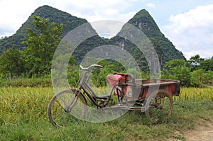 Bike with cart