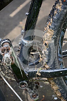 Bike detail