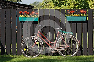 Bike and fence