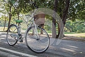 Bike in garden park