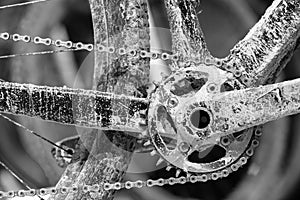 Bike gears with chain (selective focus). Messy black and white c