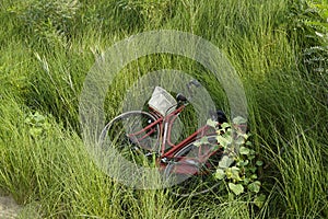 Bike in the grass by the sea transport holidaymakers