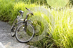 Bike with green meadow.