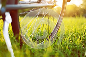 Bike on a green meadow