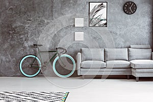 Bike in grey living room