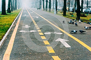 Bike land and sidewalk in park