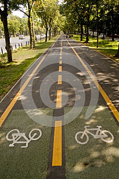 Bike lane