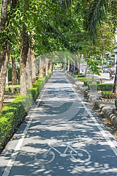 Bike lane in city