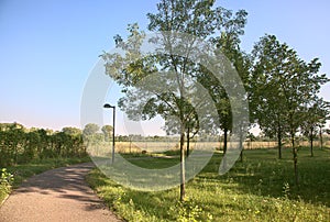 Bike lane in the countryside with trees and street lights bordered by a tall fence on a clear day in summer