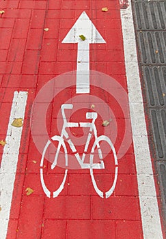 bike lane or red road with signs of bicycles