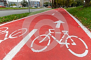 bike lane or red road with signs of bicycles