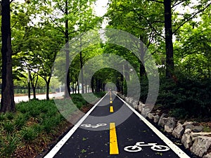 Bike Lanes Signs